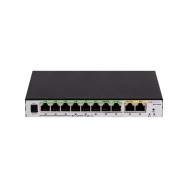 DS-3WG210GP-SI(O-STD)